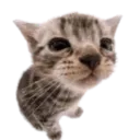 hxnted