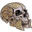 TS_Adamjonesskull Discord emoji