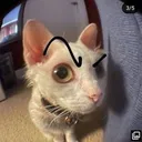 45a08a4256497d232d421ee323b910e0