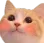 cat_blushy cat_blushy