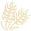 icons8trigo64