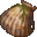 seaShell