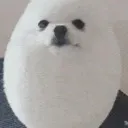 eggdog
