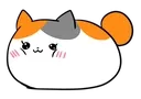 fatcatcute