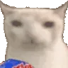 repteat repteat