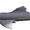 sharkSpin3