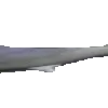 sharkSpin4