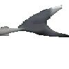 sharkSpin5