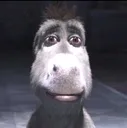 donkeystare