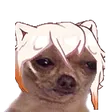 demePOV