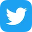RS_Twitter_UL Discord emoji
