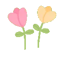 cutetulips