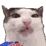 veryCrunch