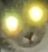 Spoopster