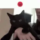 Catastrophe_Angry