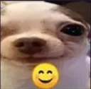 smile