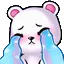 bearcutecry