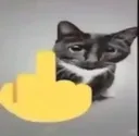 Fuckyoucat Discord Emoji