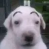 eyebrows