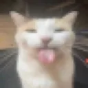 bleh