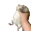 ratgrab