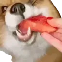 melonfox Discord Emoji