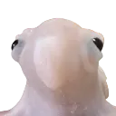 Gleeb