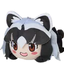 nanoda