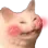 1157