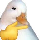 duckhmm