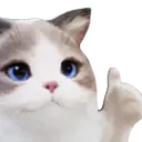 catgood