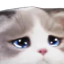Psycat_Sad