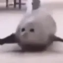 nugget