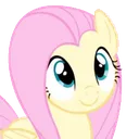 fluttershy
