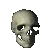 SpinningSkull