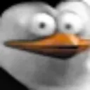 Penguine