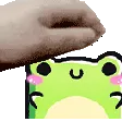frog_pet