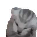 pB_theVoices Discord emoji