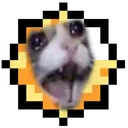 2catto