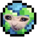 3catto