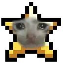 4catto