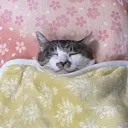 eep