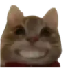 grimace