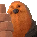 PootisAGREE