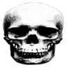 GoofySkull GoofySkull