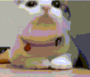 CatYes Discord emoji