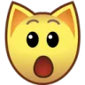 008bcatgasp