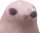 binkus