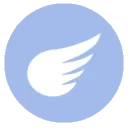 flyingType