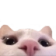 :Lurking: